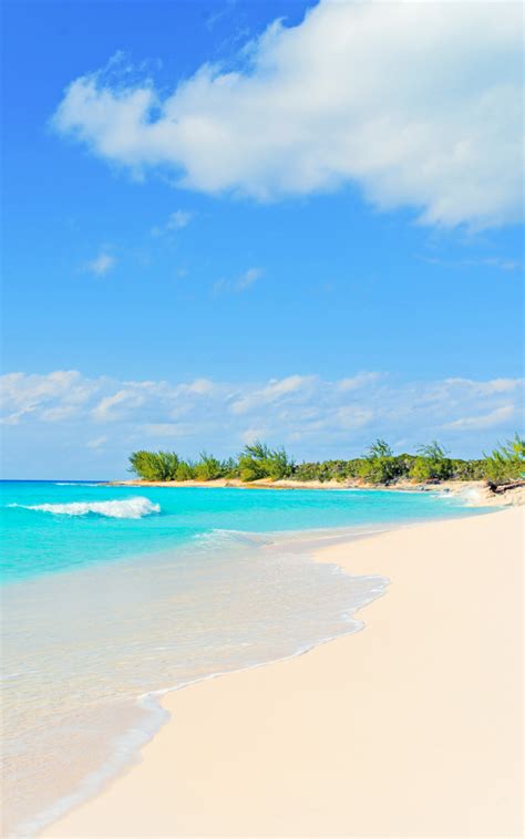 Rum Cay in The Bahamas - Vivid Coral Reefs & White Sand Beaches