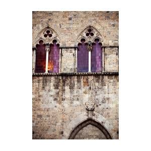 Medieval Architecture in Siena Italy Photograph by Kim Fearheiley - Fine Art America