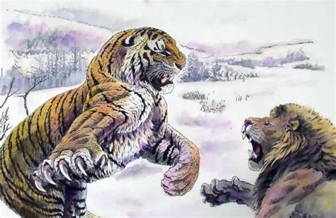 tiger vs lion - Google Search | Lukisan hewan, Gambar hewan, Harimau