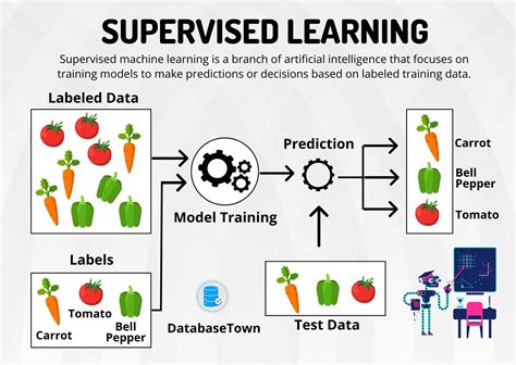 Supervised Learning: Algorithms, Examples, and How It Works