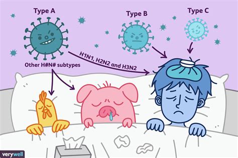 Did you know? All three types of the flu virus can make humans sick ...