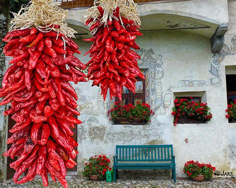 New Mexico Red Chili Peppers Photograph by Jake Steele - Pixels