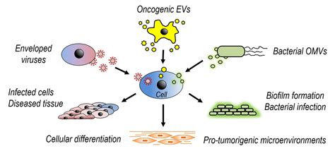 Host-pathogen interactions | Daniel Research Team