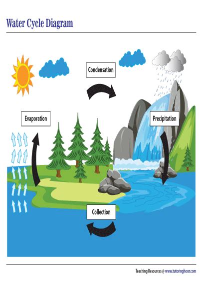 Water Cycle Diagram