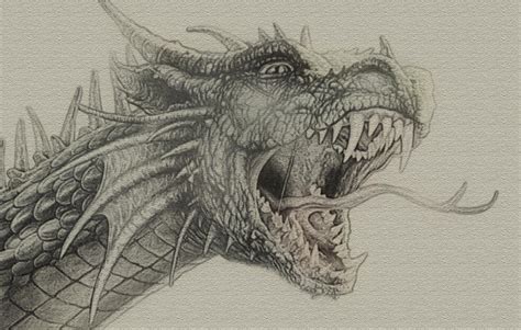 Detailed Dragon Sketch by Zapdosify on DeviantArt