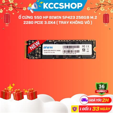 Hp BIWIN SP423 256GB M.2 2280 PCIe 3.0x4 SSD (No Case Ray) | Shopee Singapore