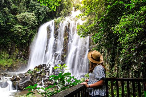 Best Waterfalls On The Atherton Tablelands | Cairns & Great Barrier Reef