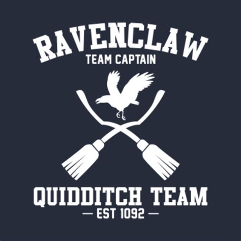 Ravenclaw Quidditch Team - Harry Potter - T-Shirt | TeePublic