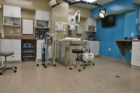 Veterinary Office Flooring | Floors For Veterinarians | Hospital design, Flooring, Office ...