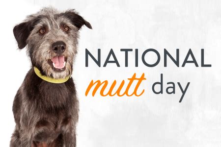 National Mutt Day - Northville