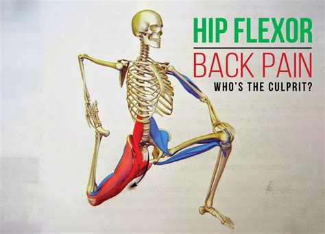 Are your hip flexors causing your low back pain? | Total Therapy