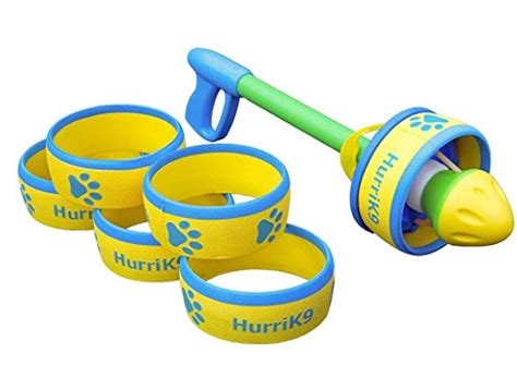 Best Beach Toys for Dogs