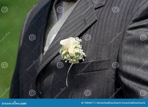 Bridegroom suit stock image. Image of black, close, event - 7504677