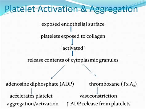 Coagulation profile