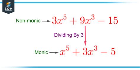 Monic Polynomial | Definition & Meaning