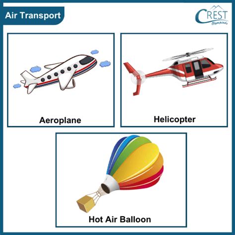 Modes and Means of Transport Class 3 Notes | Science Olympiad