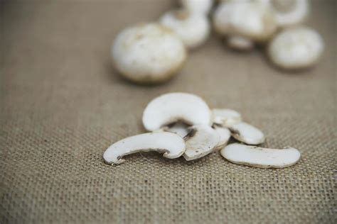 Fresh champignon mushroom vegetable in the kitchen - fresh mushroom ...