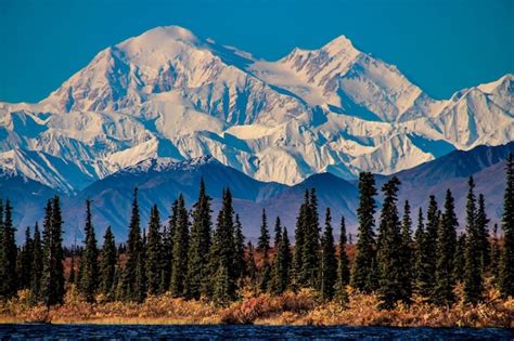 Premium Photo | Denali alaska