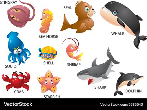 Aquatic animals Royalty Free Vector Image - VectorStock