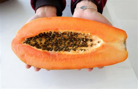 Are Papaya Seeds Parasites Or Help To Kill The Parasite In Your Body? - Nusagro