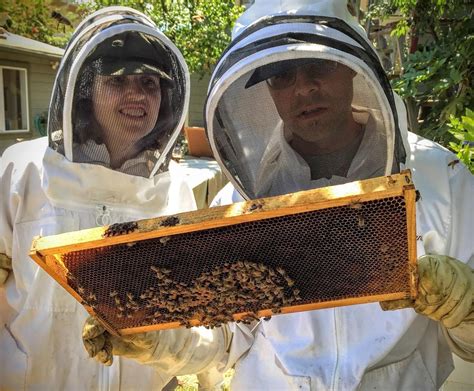 Hive Inspection Class (Beekeeping) – BioFuel Oasis