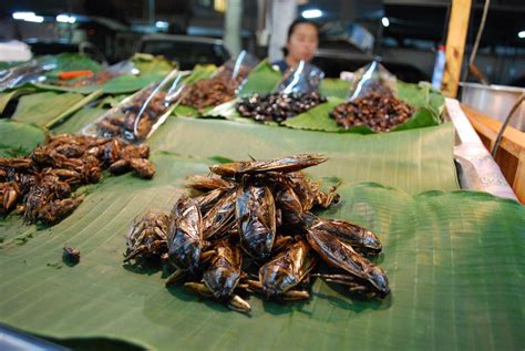 Where To Eat Insects in Thailand