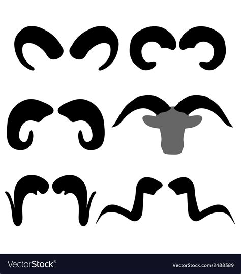 Buffalo horns Royalty Free Vector Image - VectorStock