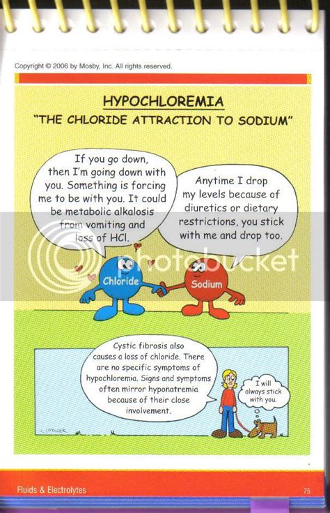 hypochloremia - ElwinSeal's blog