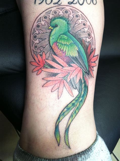 quetzal bird tattoos designs - wallpaperhdpcgalaxy