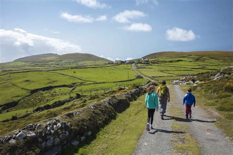 Home - West Cork Islands | West Cork Islands