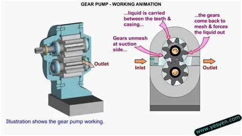 Gear Pump Working Animation - maintenance training | Gear pump, Pumps ...