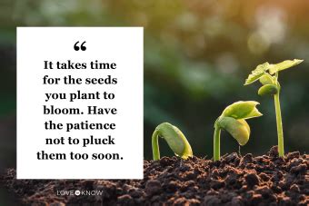 50 Inspiring Quotes About Patience to Recenter Yourself | LoveToKnow