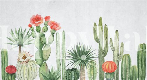 Cactus Desert Wallpaper - Shop Beautiful Desert-Themed Wallpapers