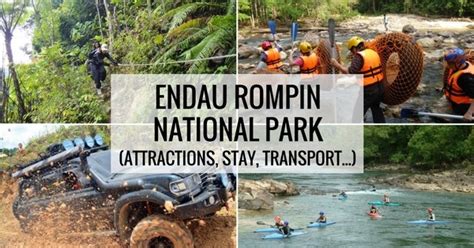 taman negeri endau rompin - RyantaroVelez