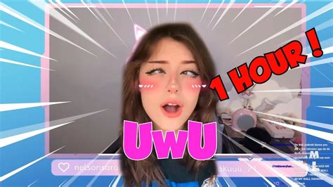 Uwu Voice 1 Hour - YouTube