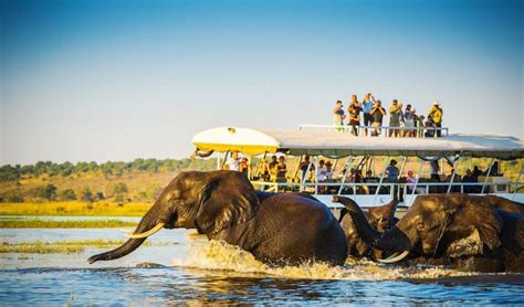 Chobe River Cruise Experience · Botswana