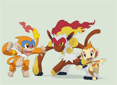 Pokemon 38~Chimchar Evolution~ by Xbox-DS-Gameboy on DeviantArt