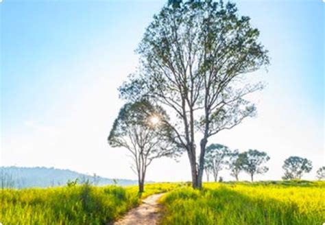 Climate - Khao Yai National Park