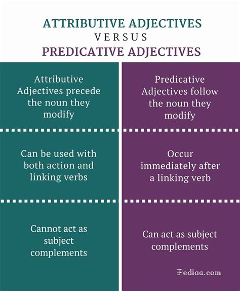 Difference Between Attributive and Predicative Adjectives | Learn English Grammar Online ...