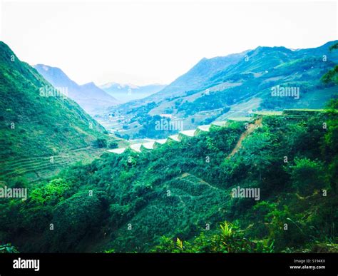 Rice paddies in SaPa, Vietnam, 2017 Stock Photo - Alamy