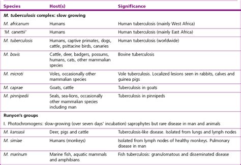 Mycobacterium species | Veterian Key