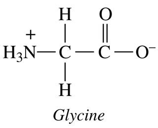 Solved Draw the conjugate base for the amino acid glycine | Chegg.com