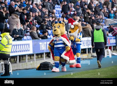 Reading football club mascot hi-res stock photography and images - Alamy