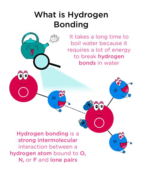 Hydrogen Bond