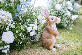 Free picture: teddy bear toy, bunny, toy, cute, animal, easter, nature, rabbit