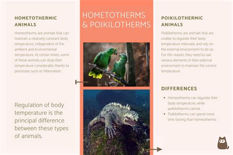 Homeothermic and Poikilothermic Animals - Definition and Differences ...