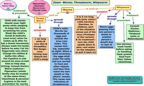 Zoom-Threadworm-Whipworm.html