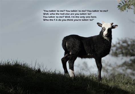 Goat Quotes. QuotesGram