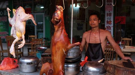 Yulin dog meat festival begins despite rumours of ban - BBC News