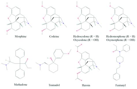 Structures of common opioids. Some prominent clinical opioids include... | Download Scientific ...